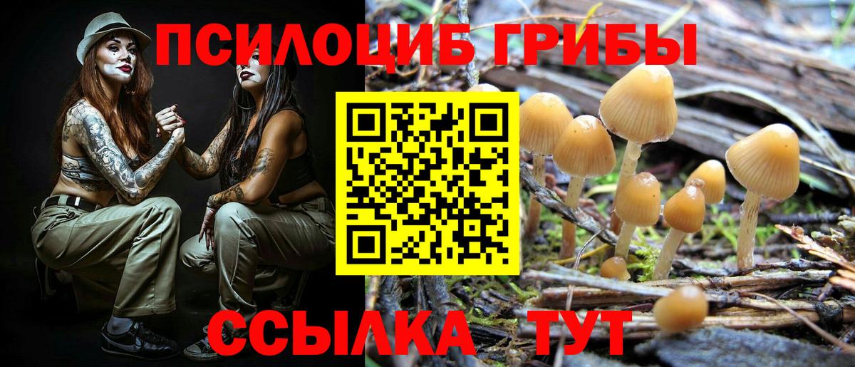 Галлюциногенные грибы ЛСД  Вход с VPN  магазин продажи   Галлюциногенные грибы Psilocybine cubensis  Жигулёвск 